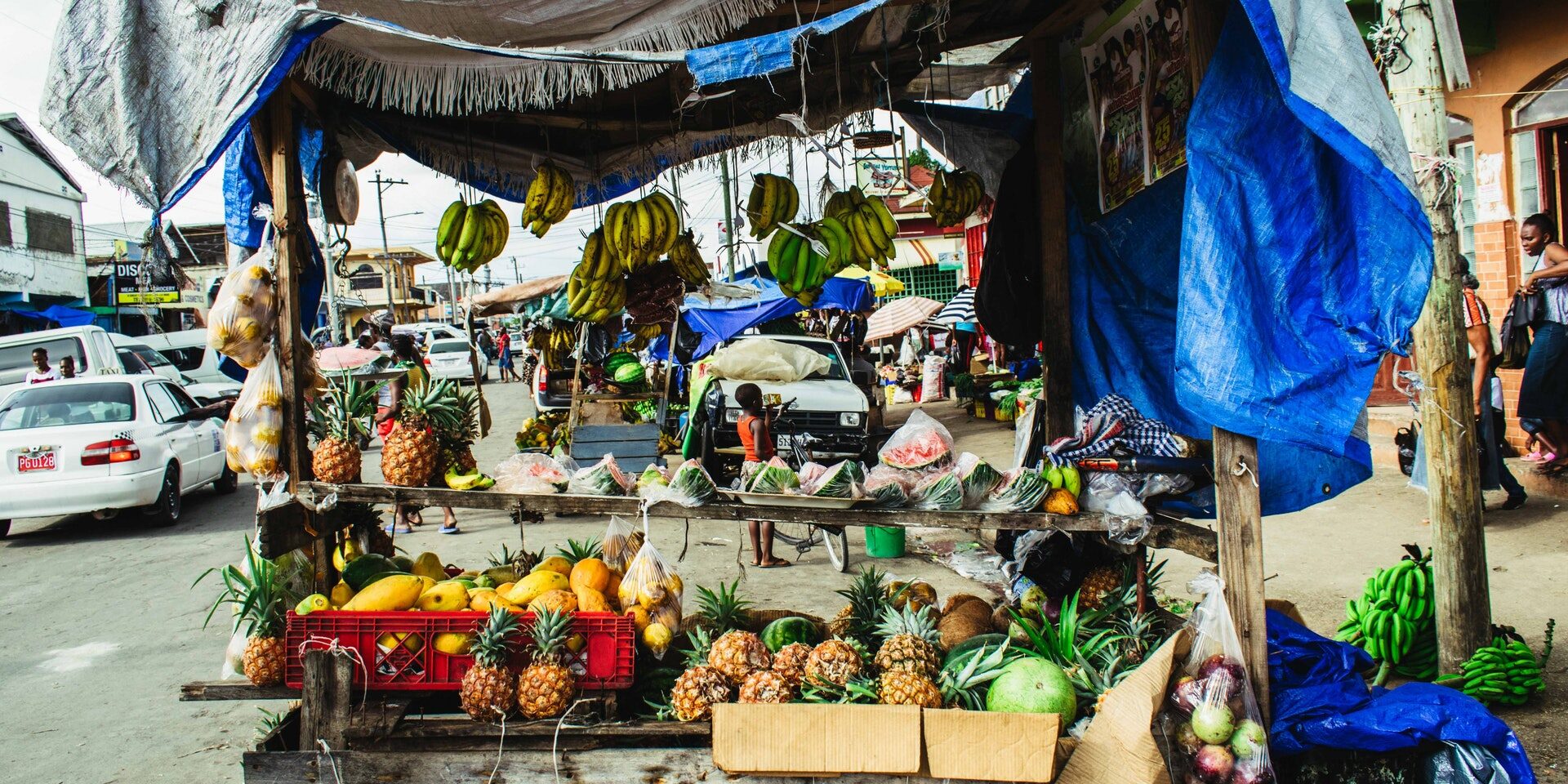 pexels-shane-kell-1363798