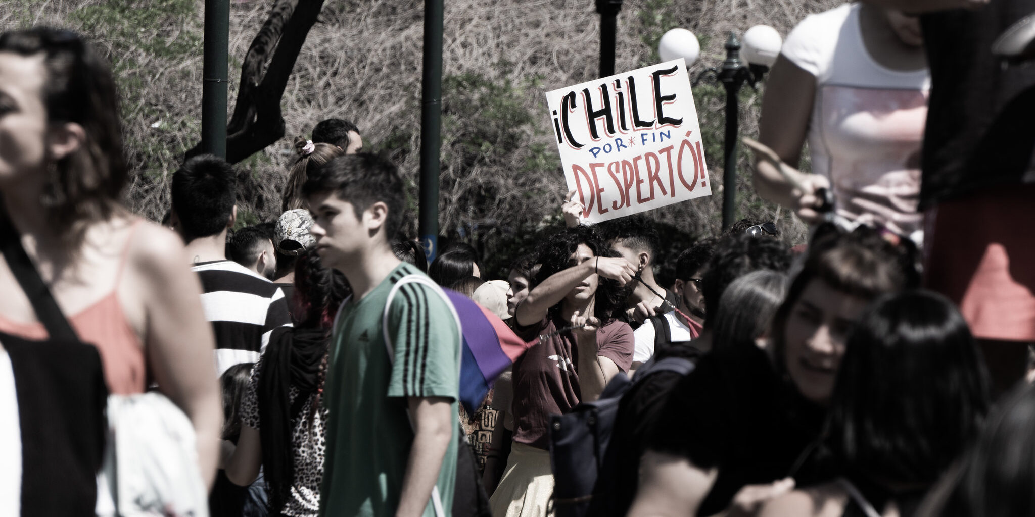 48976527466_902344b629_k